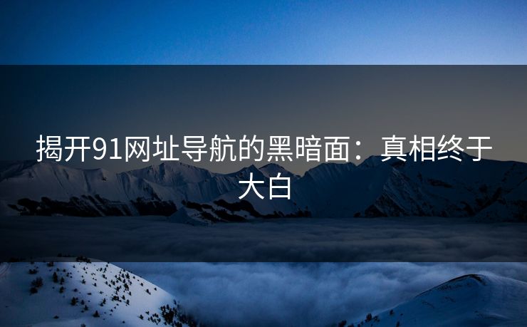 揭开91网址导航的黑暗面：真相终于大白