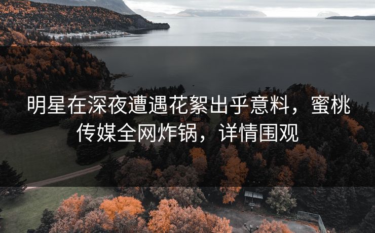 明星在深夜遭遇花絮出乎意料，蜜桃传媒全网炸锅，详情围观