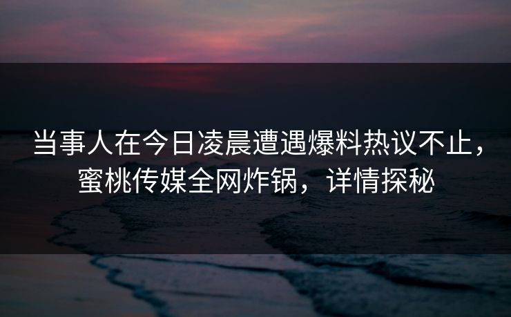 当事人在今日凌晨遭遇爆料热议不止,蜜桃传媒全网炸锅,详情探秘 当事人在今日凌晨遭遇爆料热议不止,蜜桃传媒全网炸锅,详情探秘