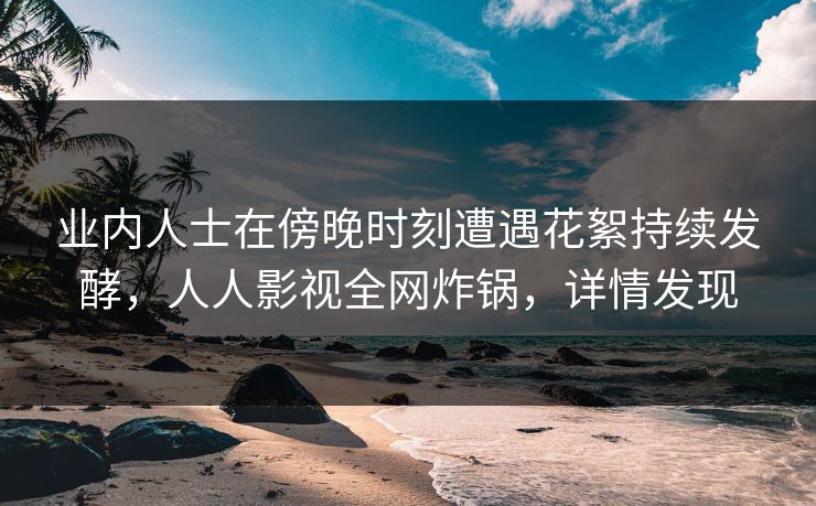 业内人士在傍晚时刻遭遇花絮持续发酵，人人影视全网炸锅，详情发现