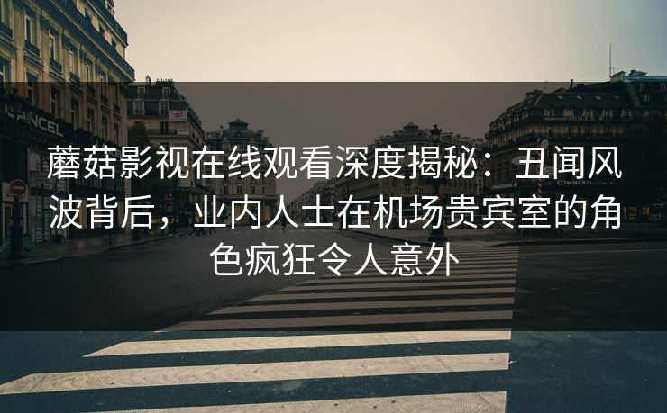 蘑菇影视在线观看深度揭秘:丑闻风波背后,业内人士在机场贵宾室的角色疯狂令人意外 蘑菇影视在线观看深度揭秘:丑闻风波背后,业内人士在机场贵宾室的角色疯狂令人意外